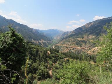 Cliquez pour agrandir l'image