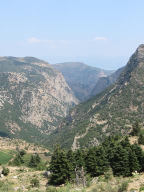 Cliquez pour agrandir l'image