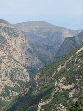 Cliquez pour agrandir l'image