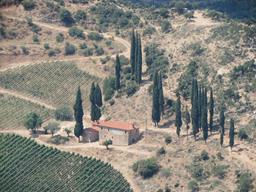 Cliquez pour agrandir l'image