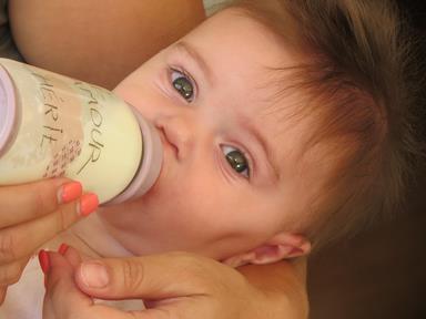 Cliquez pour agrandir l'image