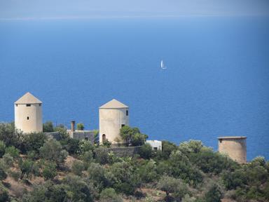 Cliquez pour agrandir l'image