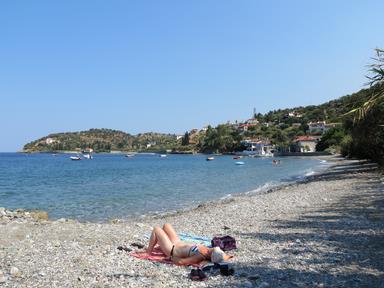 Cliquez pour agrandir l'image