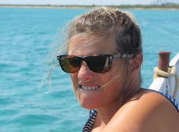 Cliquez pour agrandir l'image