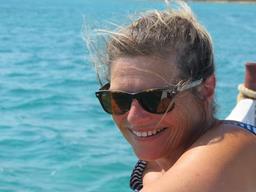 Cliquez pour agrandir l'image