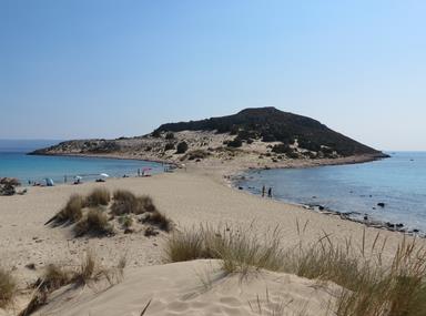 Cliquez pour agrandir l'image