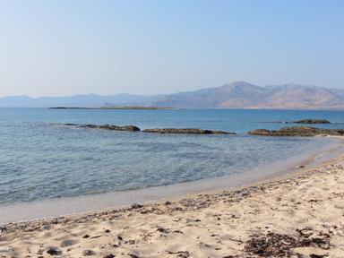 Cliquez pour agrandir l'image