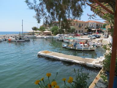 Cliquez pour agrandir l'image