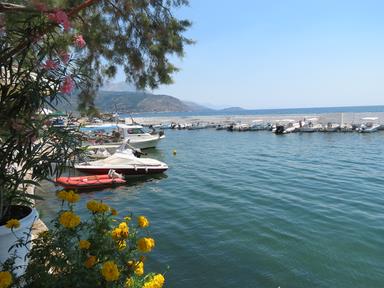 Cliquez pour agrandir l'image