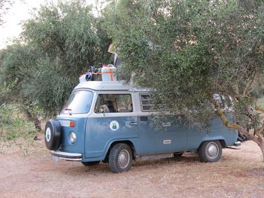 Cliquez pour agrandir l'image