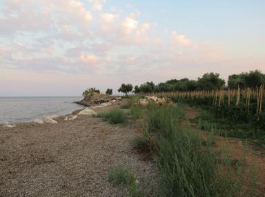 Cliquez pour agrandir l'image