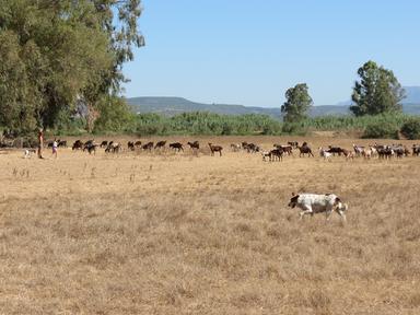Cliquez pour agrandir l'image