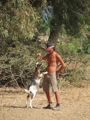 Cliquez pour agrandir l'image