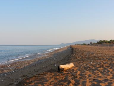 Cliquez pour agrandir l'image