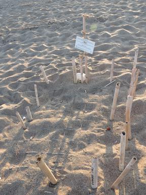 Cliquez pour agrandir l'image