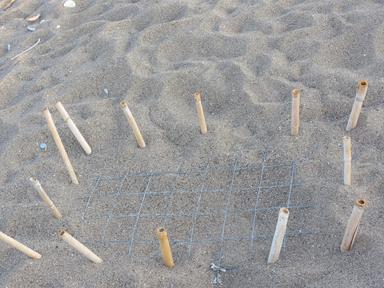 Cliquez pour agrandir l'image