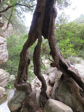 Cliquez pour agrandir l'image