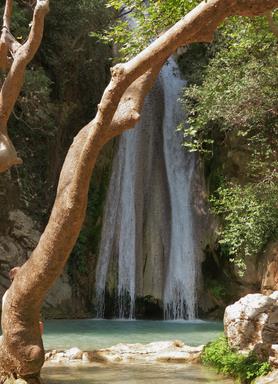 Cliquez pour agrandir l'image