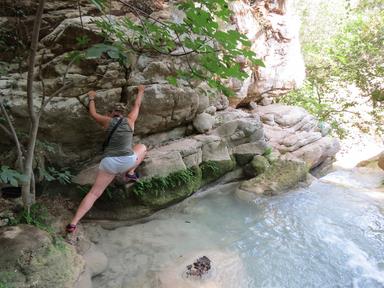 Cliquez pour agrandir l'image