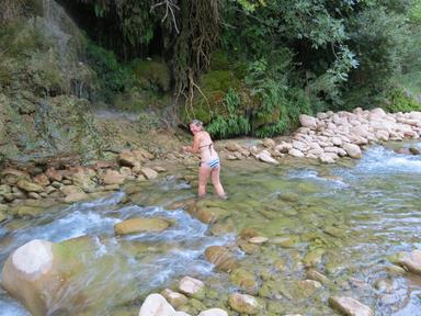 Cliquez pour agrandir l'image