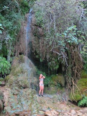 Cliquez pour agrandir l'image