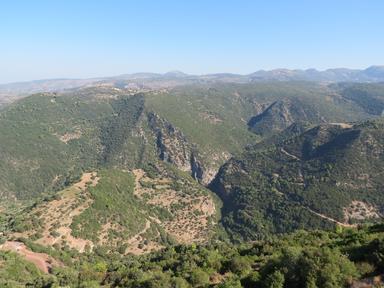 Cliquez pour agrandir l'image