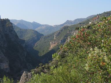 Cliquez pour agrandir l'image