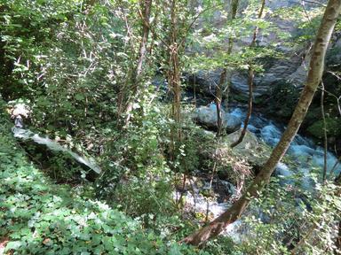 Cliquez pour agrandir l'image