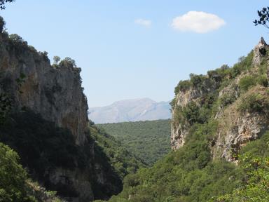 Cliquez pour agrandir l'image