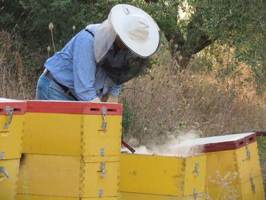 Cliquez pour agrandir l'image