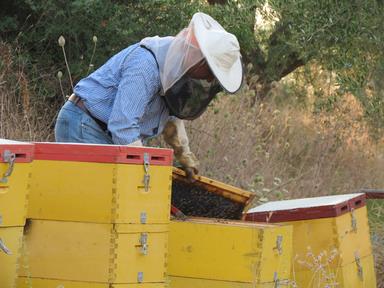 Cliquez pour agrandir l'image