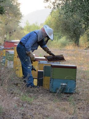 Cliquez pour agrandir l'image