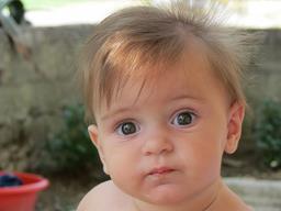 Cliquez pour agrandir l'image