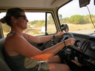 Cliquez pour agrandir l'image