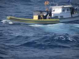 Cliquez pour agrandir l'image