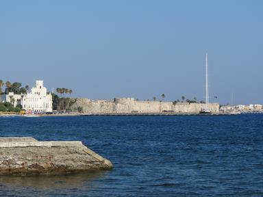 Cliquez pour agrandir l'image