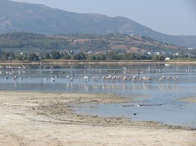 Cliquez pour agrandir l'image