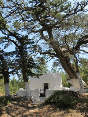 Cliquez pour agrandir l'image