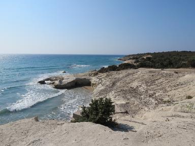 Cliquez pour agrandir l'image