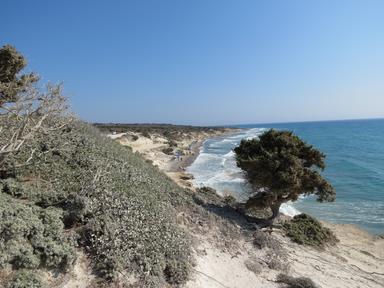 Cliquez pour agrandir l'image