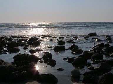 Cliquez pour agrandir l'image