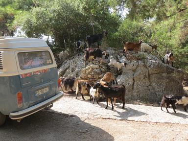 Cliquez pour agrandir l'image