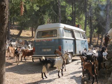 Cliquez pour agrandir l'image