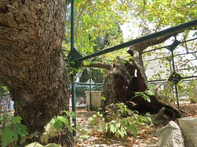 Cliquez pour agrandir l'image