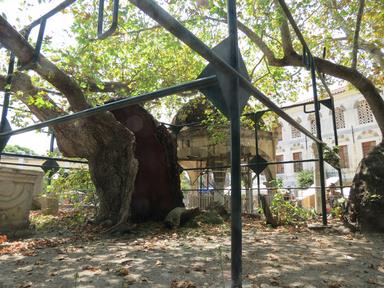 Cliquez pour agrandir l'image