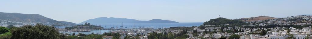 Cliquez pour agrandir l'image