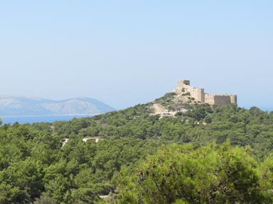 Cliquez pour agrandir l'image