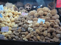 Cliquez pour agrandir l'image