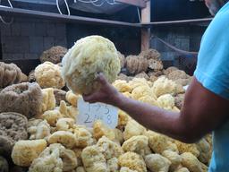 Cliquez pour agrandir l'image