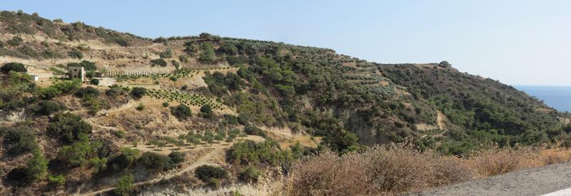 Cliquez pour agrandir l'image